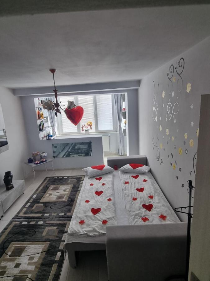 Apartment La Tanti Bobi Lupeni (Hunedoara)